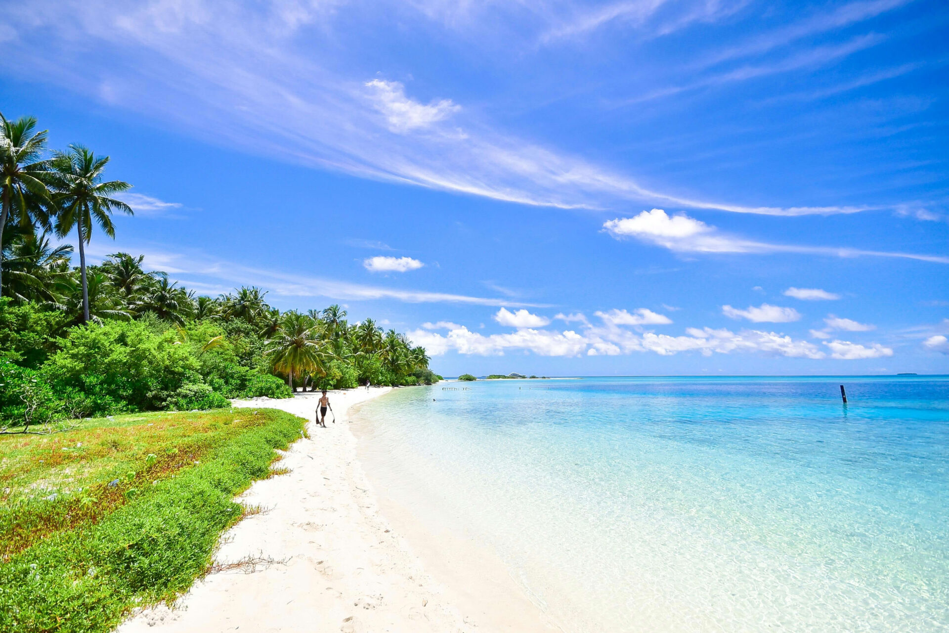 maldives beach with green and blue scenery