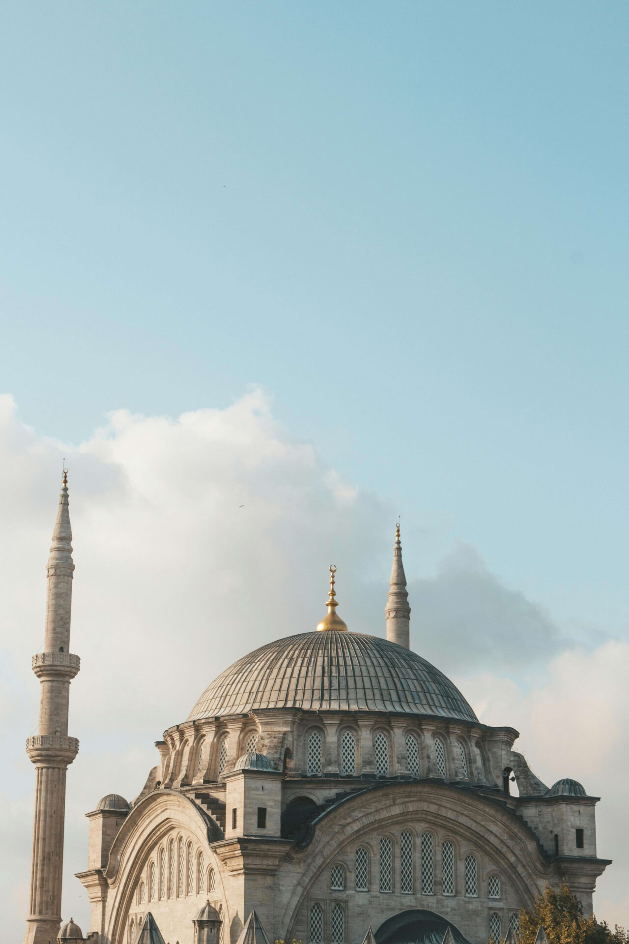pexels emrecan 2079666