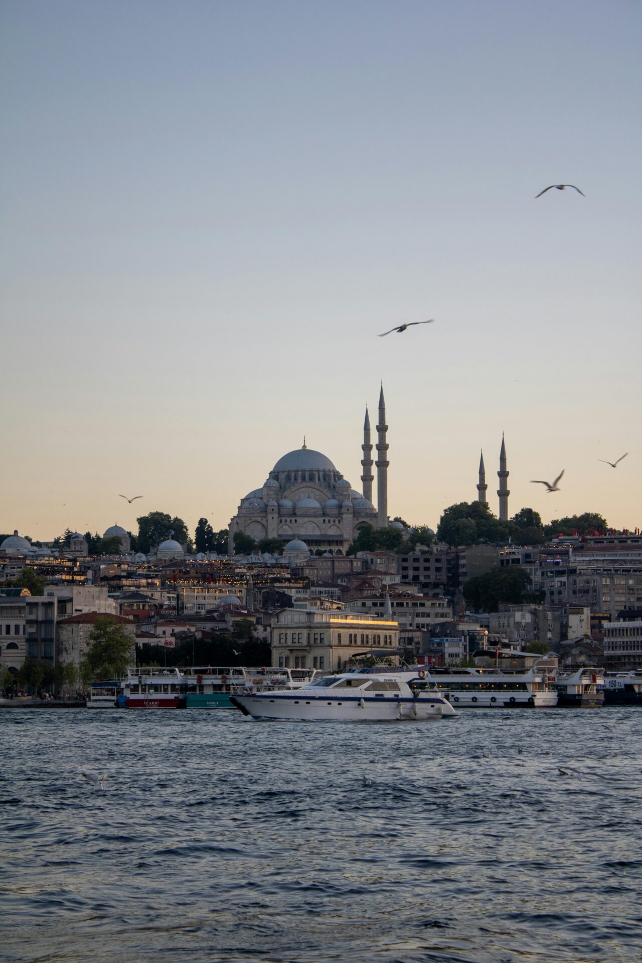 pexels ozlem kara 1081249695 26797621
